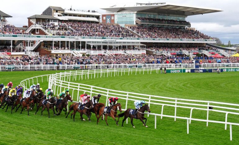 Grand National 2025